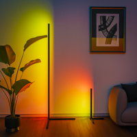 Lampadaire RVB Intelligent avec Musique DivisModern, 16 Millions de Documents, Proxy, Lumière d'Ambiance Debout avec Télécommande 1